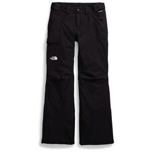 North Face Freedom Insulated Ski / Snowboard Pants